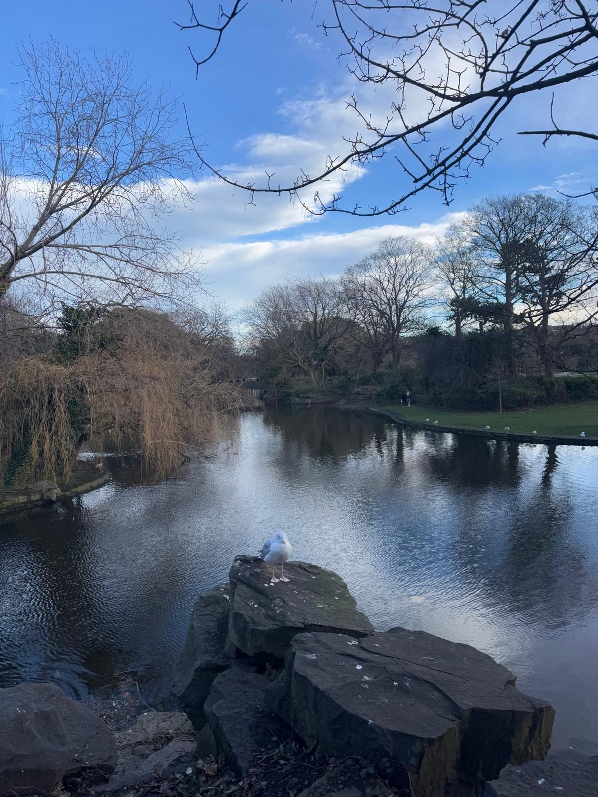 Dublin