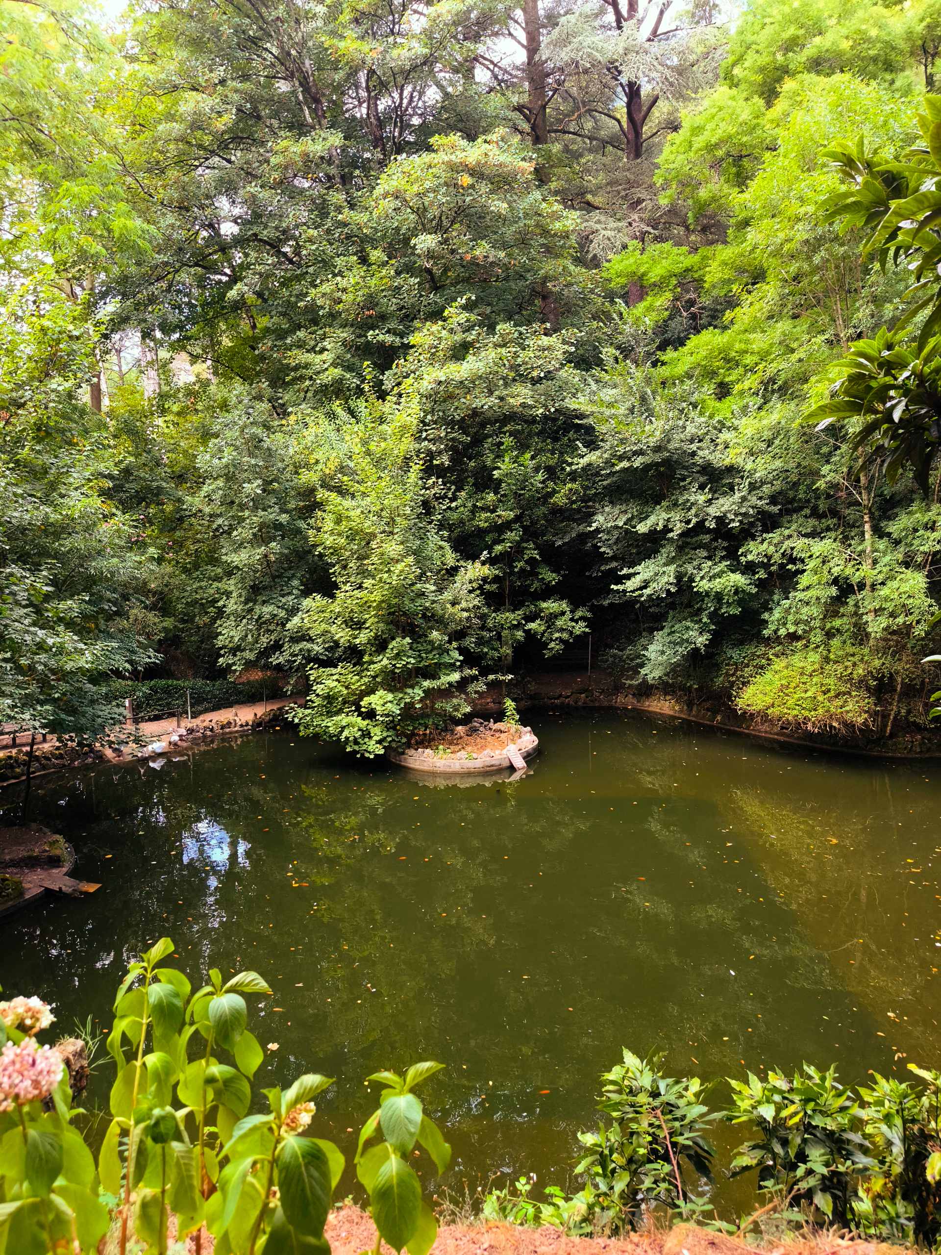 Mata do Buçaco