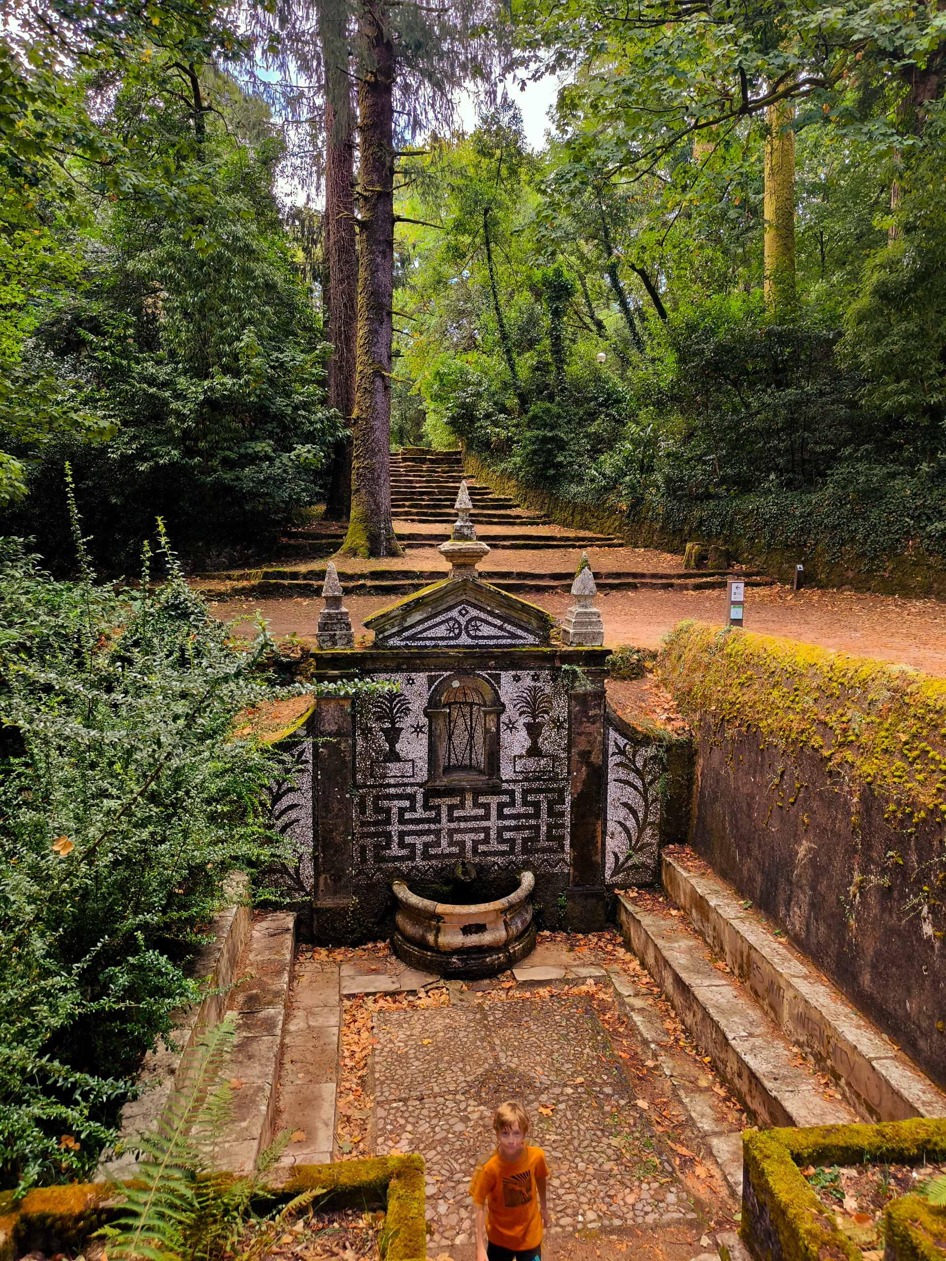 Mata do Buçaco