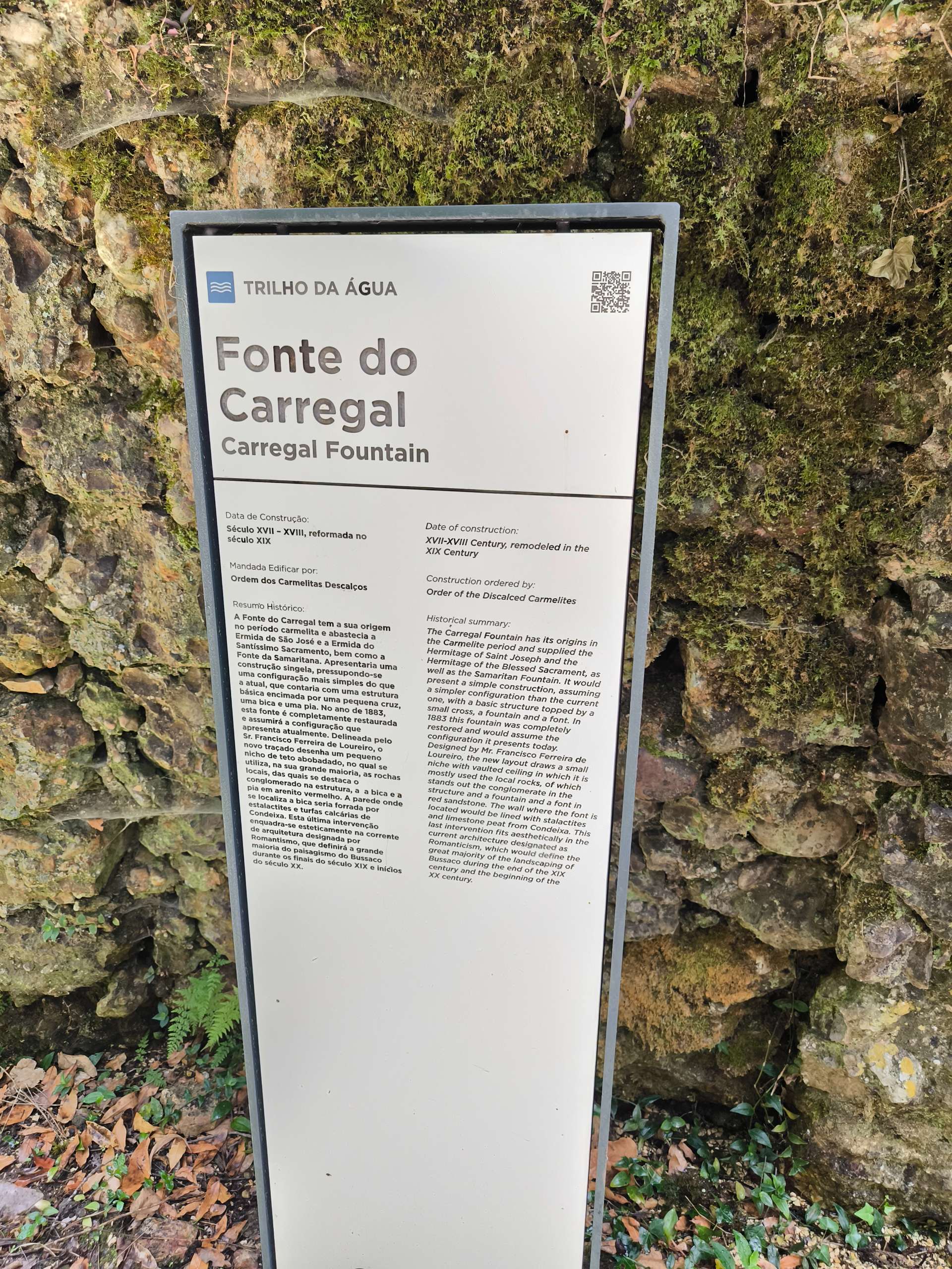 Mata do Buçaco