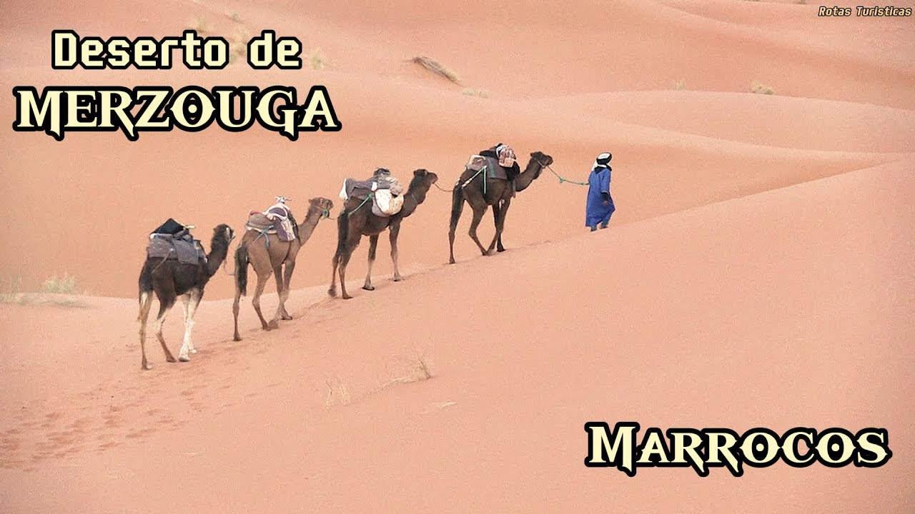 de Camelo pelas dunas no deserto de MERZOUGA: Marrocos